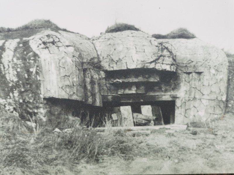 ddaylandingtours - bunker hunting