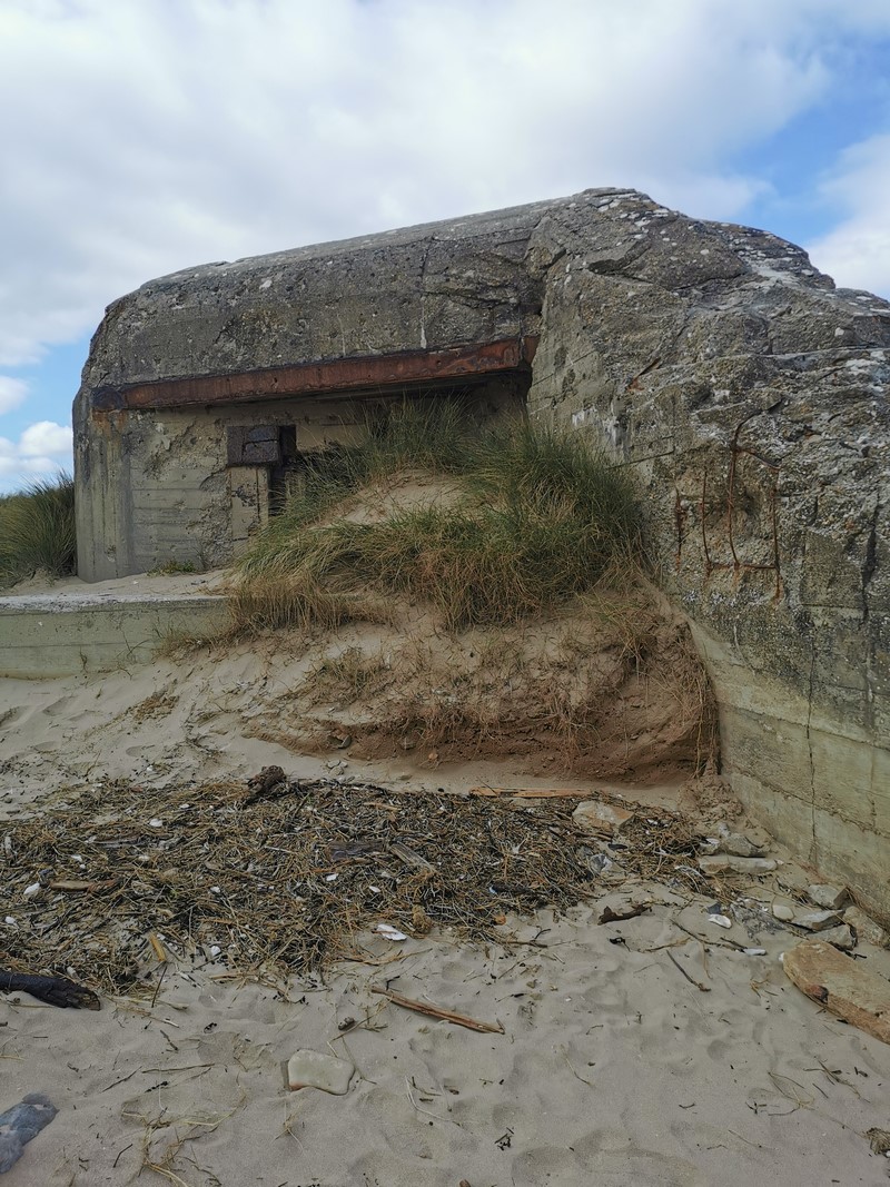 ddaylandingtours - bunker hunting