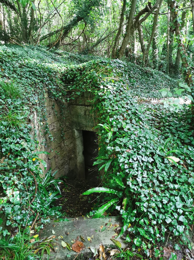 ddaylandingtours - bunker hunting