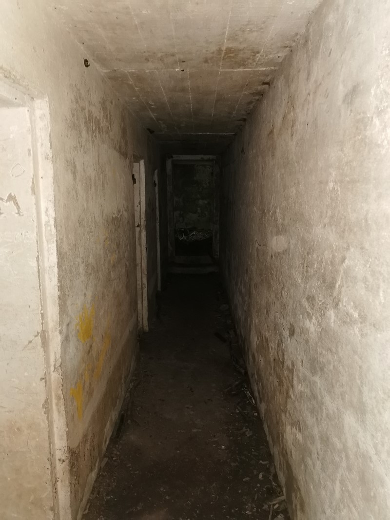 ddaylandingtours - bunker hunting