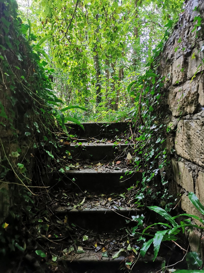 ddaylandingtours - bunker hunting