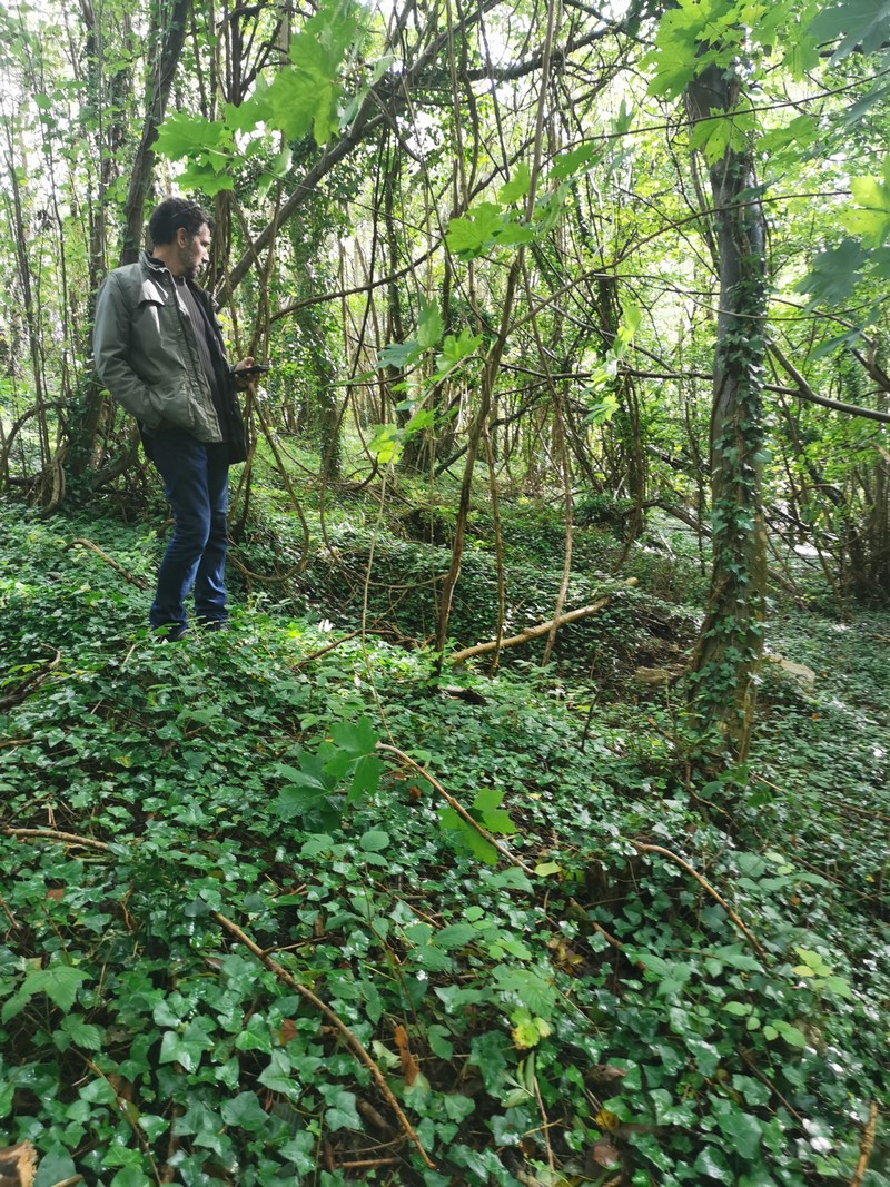 ddaylandingtours - bunker hunting