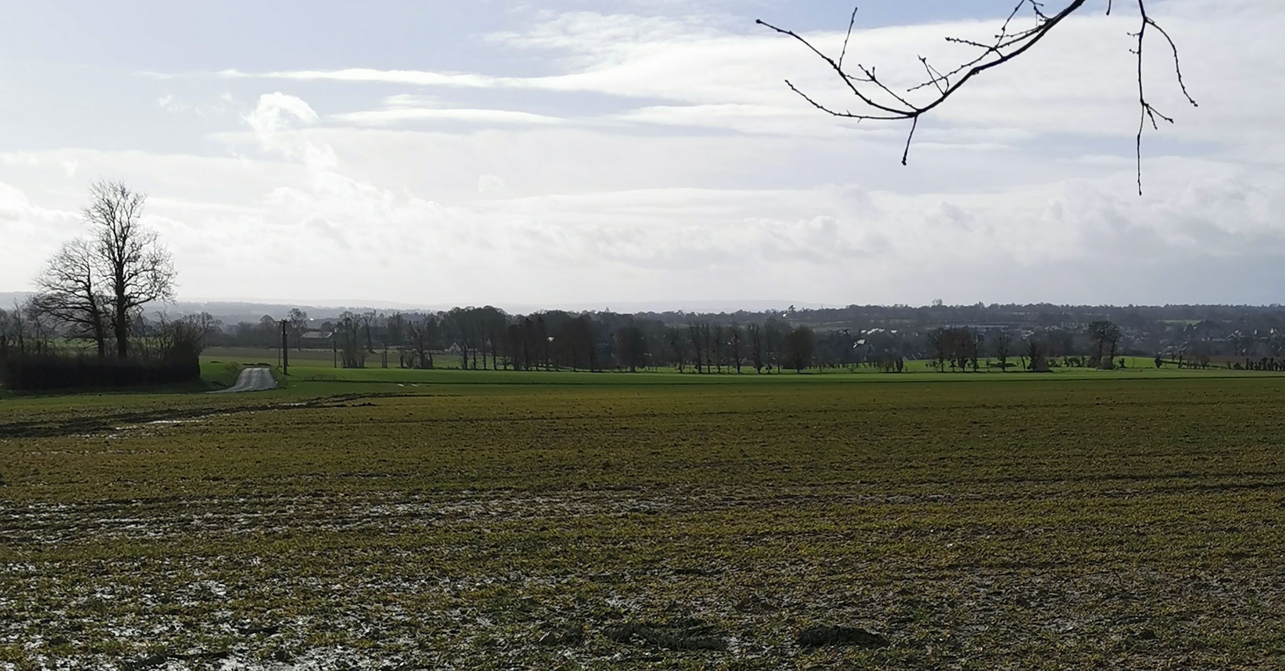 Battle of St Pierre: 8th Armoured Brigade
